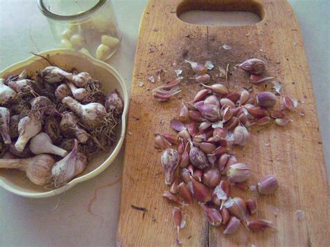Using Tiny Garlic Cloves | ThriftyFun