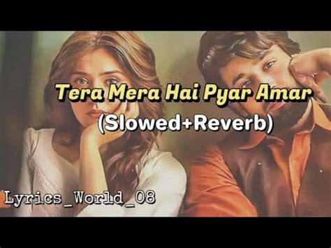 Tera Mera Hai Pyar Amar Lo Fi Slowed Reverb Ost Song Ishq