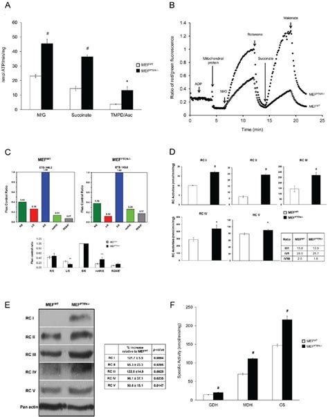 Mitochondrial Parameters In MEF WT And MEF PTEN 2 2 A