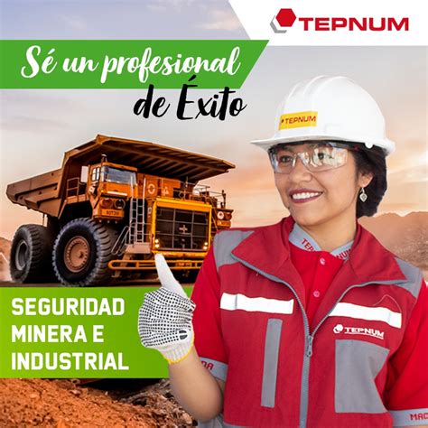 Seguridad Minera Industrial Tepnum