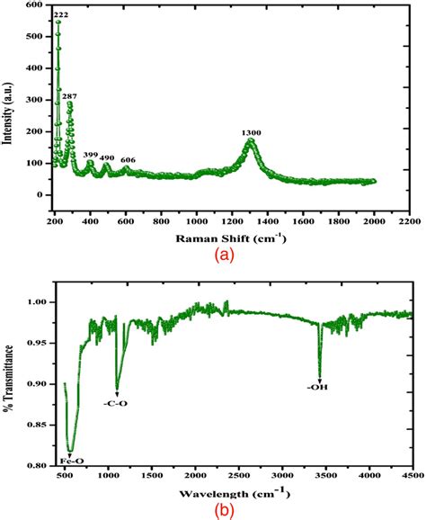 Raman And Fourier Transform‐infrared Ft‐ir Spectra Of Biogenic Iron