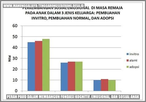 Peran Paud Dalam Membangun Fondasi Kognitif Emosional Dan Sosial Anak