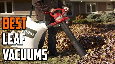 Best Leaf Vacuum In 2024 Top 10 Leaf Vacuums Review Youtube