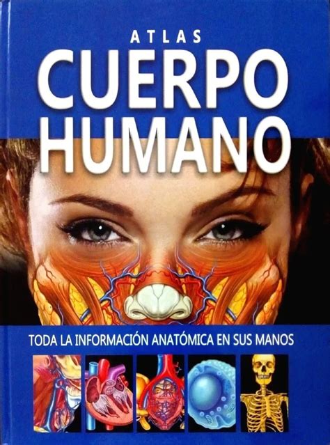 Libro De Anatom A Atlas Cuerpo Humano One Env O Gratis