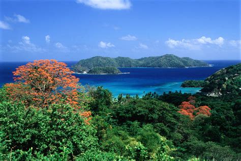 Trinidad And Tobago Lonely Planet