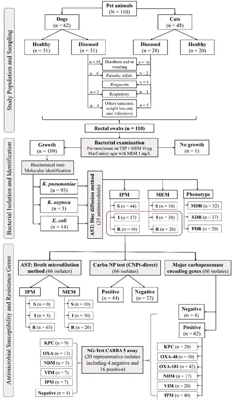 Frontiers Emergence Of Pandrug Resistant Carbapenemase Producing