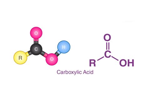 Carboxyl Structure