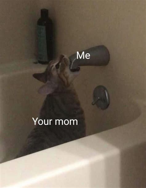Sucky Wucky Rmemes