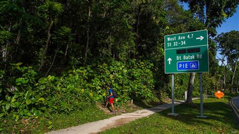 The Forgotten Bukit Batok Hillside Nature Park — Hiking To Hidden