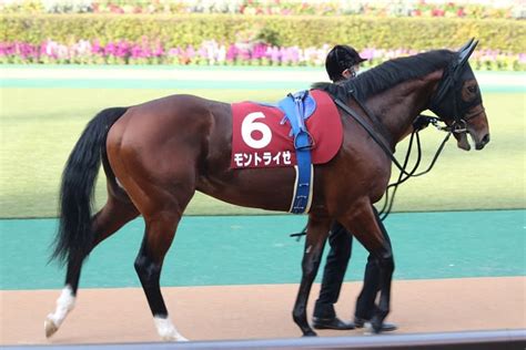 【2022年度】キャロットクラブ募集馬 選び方・分析方法 Pog一口馬主情報局