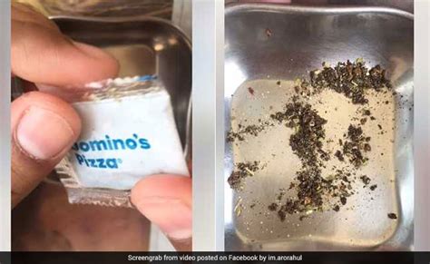 Insects Found In Dominos Oregano Packets Fell Ill Claims Delhi Man