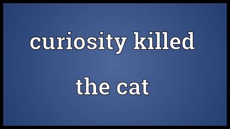 What Is The Meaning Of Curiosity