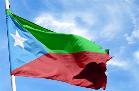 Balochistan's national flag | Balochistan, Cute flower wallpapers ...