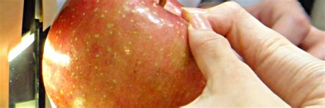 items   masters touch