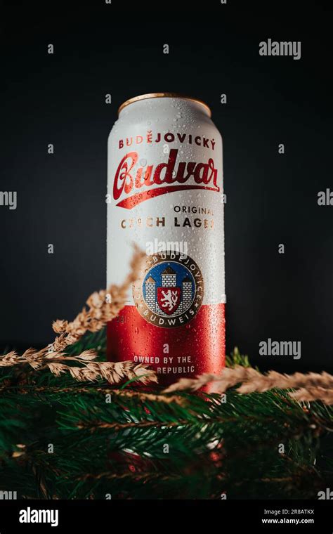 A Close Up Of A Czech Budvar Beer Can Against A Black Background