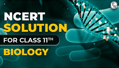 Biology Solutions Class Maharashtra Board Discounts Shop Brunofuga