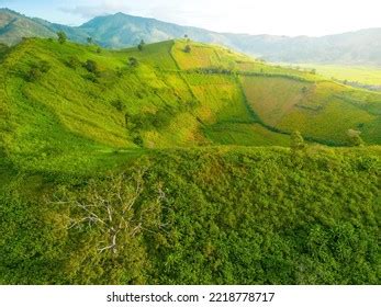 Aerial View Chu Dang Ya Volcano Stock Photo 2218778717 | Shutterstock