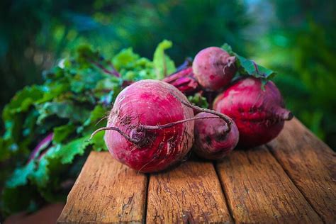 Rote Beete Richtig Lagern