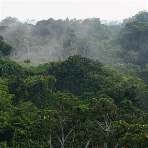 Mænd vil have sex med kvinder i alle aldre