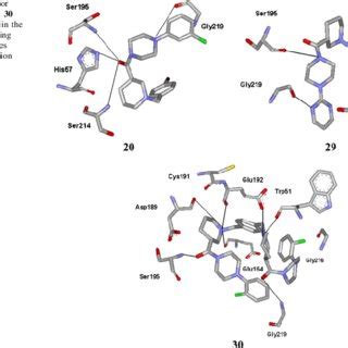 Binding Mode For Compounds And Docked And Minimized In The