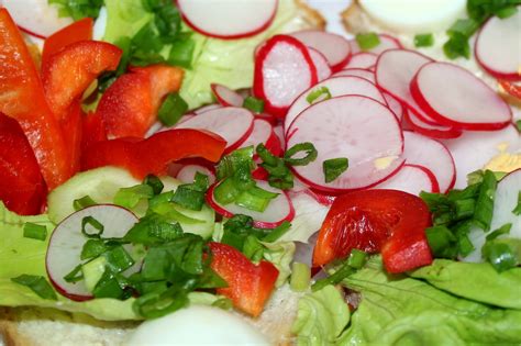 Salada Rabanete Conhe A Os Benef Cios E Uma Receita R Pida De