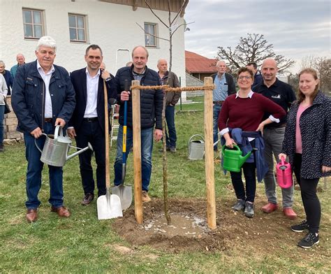 Baum Des Jahres Ist Alte Apfelsorte Landkreis Passau