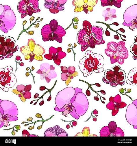 Seamless Pattern With Hand Drawn Orchids And Floral Elements Colored