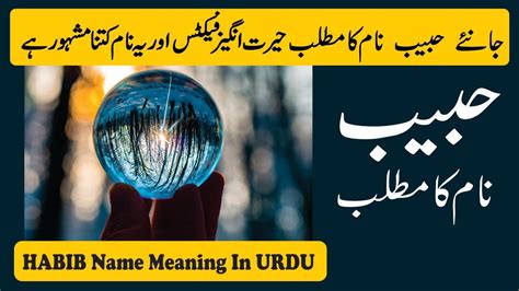 Habib Name Meaning In Urdu Habib Naam Ka Matlab YouTube