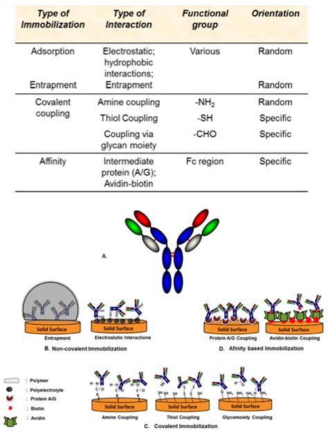 Sensors Free Full Text Cytokine And Cancer Biomarkers Detection