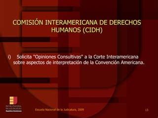 ENJ 3 200 Sistema Interamericano De Derechos Humanos PPT