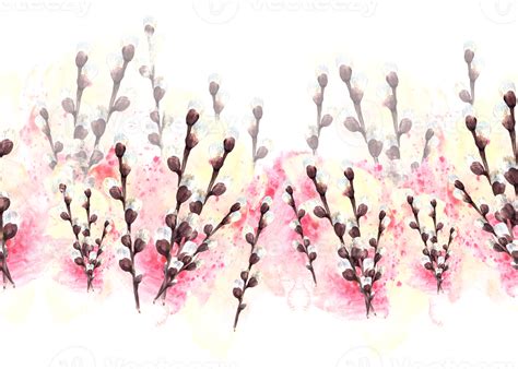 Watercolor Spring Pussy Willow Tree On Background Of Watercolor Yellow