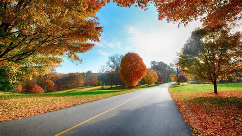 🥇 Autumn in country road wallpaper | (44226)