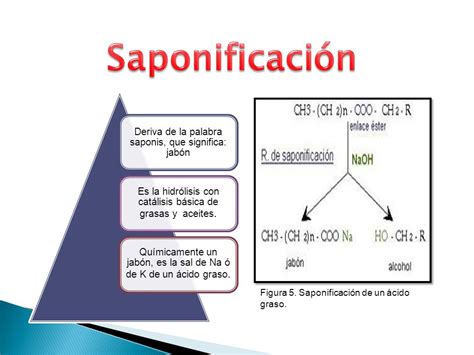 Saponificaci N De Una Grasa Ppt Descargar