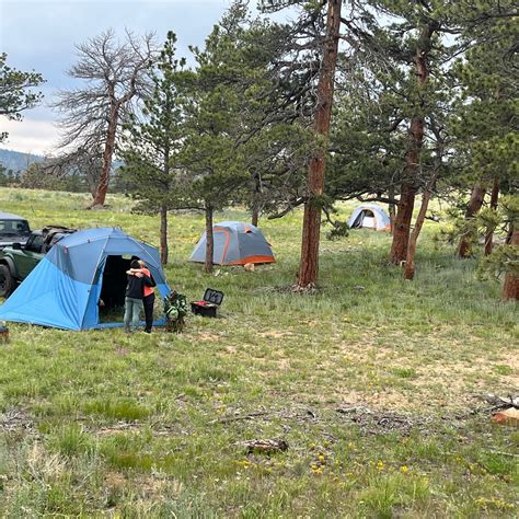 Pingree Hill Dispersed Camping Red Feather Lakes Co