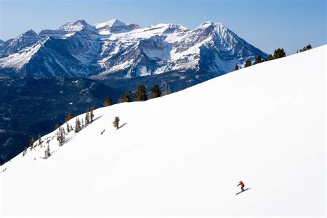 Body of missing Utah skier discovered at Snowbird - TownLift, Park City