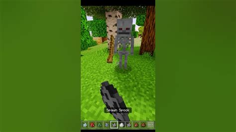 Minecraft Creeper Or Skeleton🤯 Shorts Minecraft Youtube