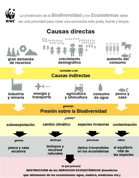 Biodiversidad qué es claves y su importancia en la Tierra OVACEN