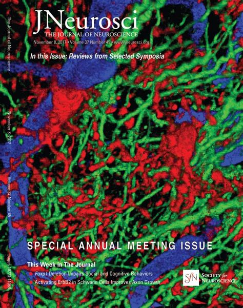 Our Article Was Selected For The Cover Image Of The Journal Of Neuroscience Special Annual