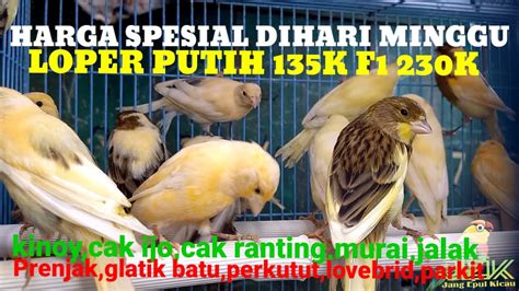 HARGA BURUNG SPESIAL DIHARI MINGGU KIOS SKJ PASAR BURUNG PRAMUKA YouTube