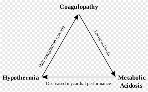 Triade Traumatologique De La Mort Triangle Traumatisme Majeur Blessure