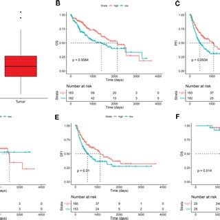 Fdx Expression Improved Patient Survival In Hcc A Fdx Expression