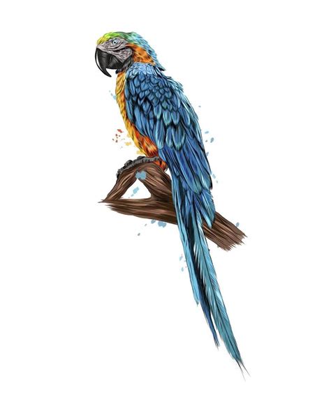 Parrot Macaw From A Splash Of Watercolor Colored Drawing Realistic