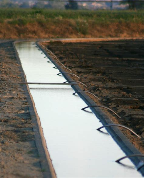 Water World: Agricultural Water Use