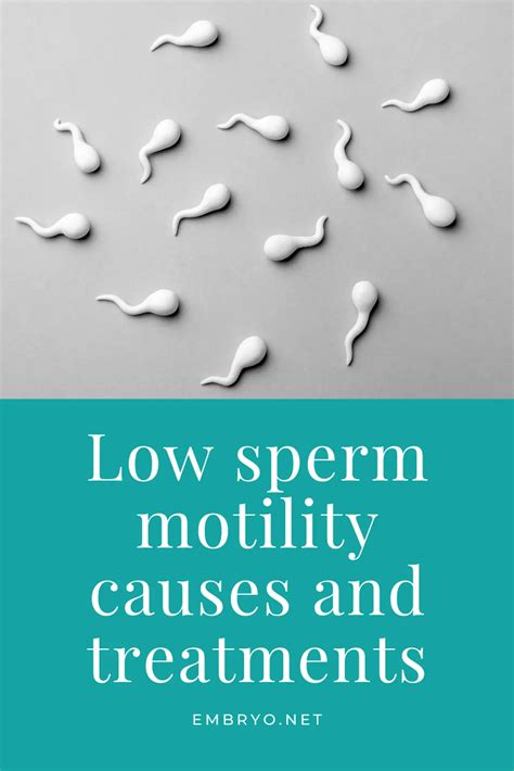 Low Sperm Motility Causes And Treatments Reproductive Endocrinology