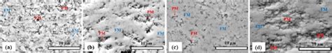 High Magnification Cross Sectional Sem Images Of Sps Coatings