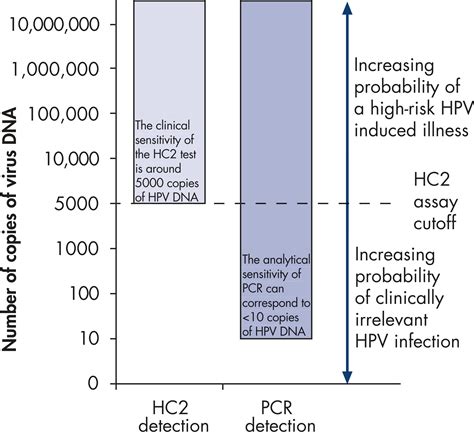 Digene Hc2 High Risk Hpv Dna Test