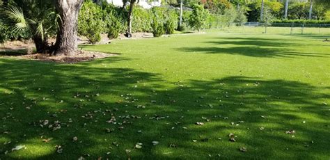 Turf For K Artificial Grass And Synthetic Turf Installation Tampa I