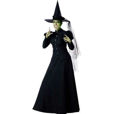 Wicked Witch - Wizard of Oz (FOR HIRE) - Costume World