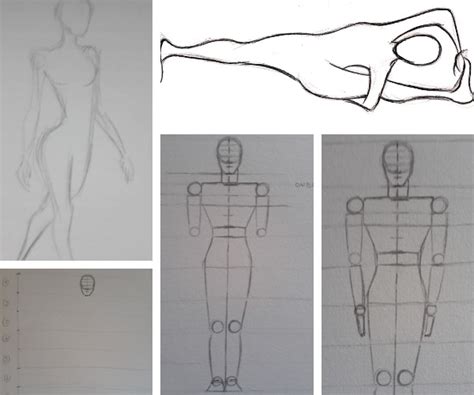 Desenhar Passo A Passo Principais Etapas De Aprendizado