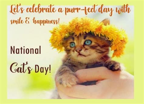 Pin By 123greetings Ecards On National Cat Day National Cat Day Cat